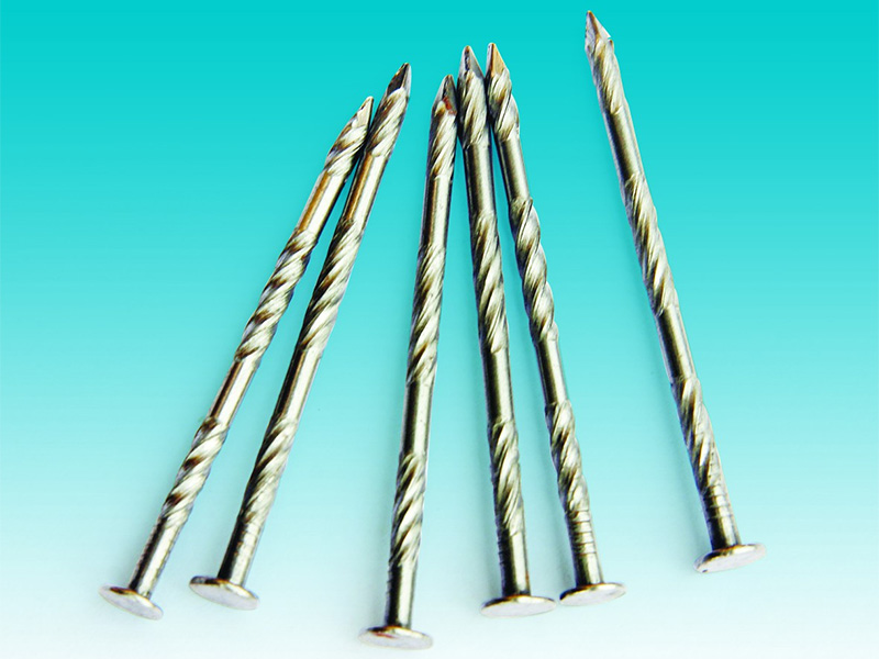 Stainless Steel Twisted Ground Nails